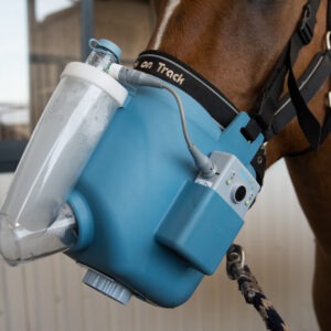 Flexineb E3 täiskomplekt hobusele