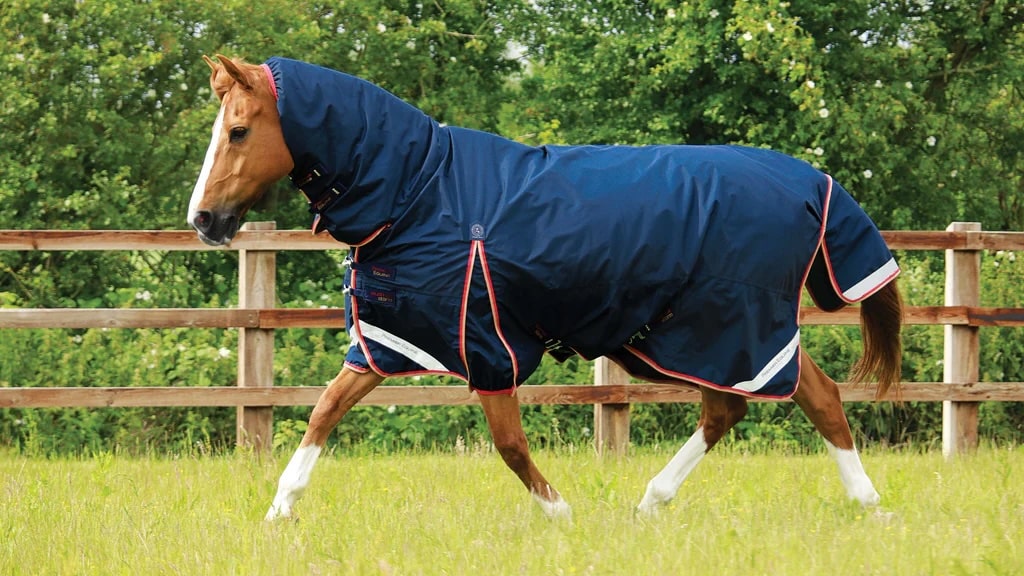 Hobuse õuetekk Buster storm 200g